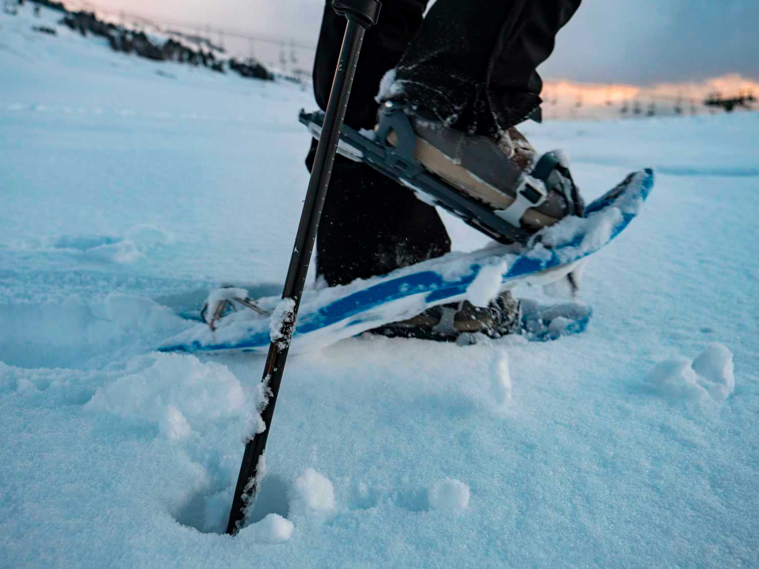 Raquetas de Nieve