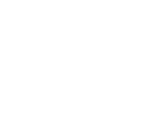 Belodonte-300x264-1
