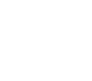 CA-Life-300x264-1